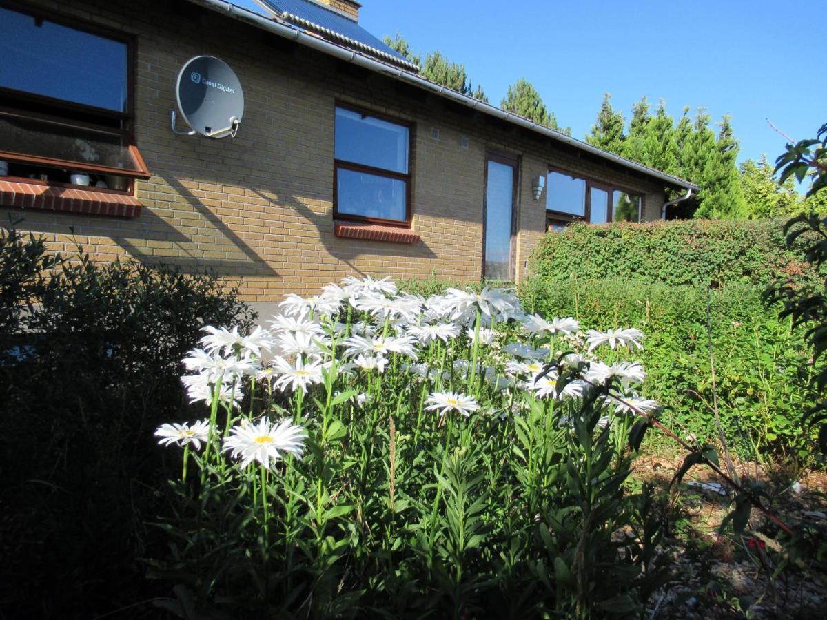 Aebelo-Guidens B&B Bogense Dış mekan fotoğraf